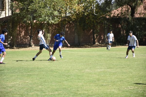dsc9517FA373B60-0429-CCC1-A98E-0CF1E17AED88.jpg