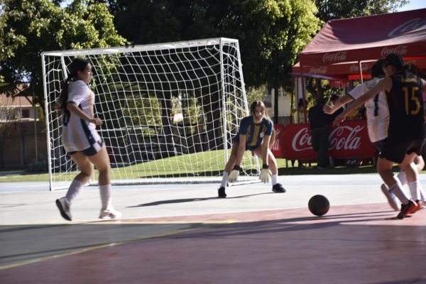 dsc9537C8EA108F-5EDF-FC3D-F544-B8B1AA3E322D.jpg